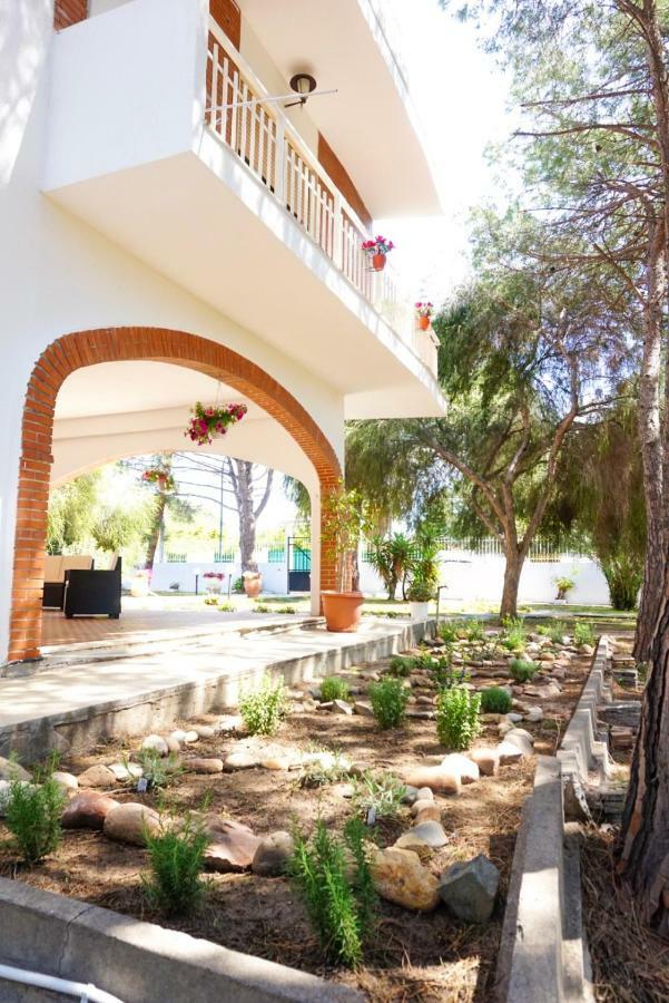 Villa Aurelia - Seafront Apartment With Terrace Quartu SantʼElena Εξωτερικό φωτογραφία
