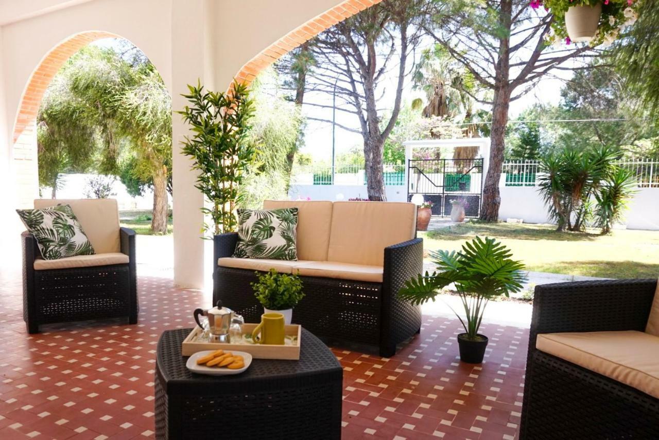 Villa Aurelia - Seafront Apartment With Terrace Quartu SantʼElena Εξωτερικό φωτογραφία